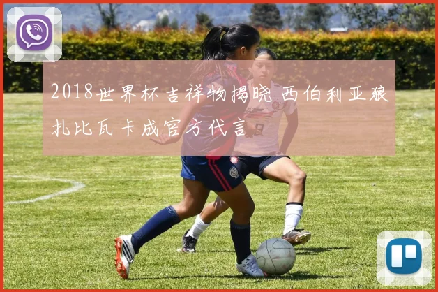 2018世界杯吉祥物揭晓 西伯利亚狼扎比瓦卡成官方代言
