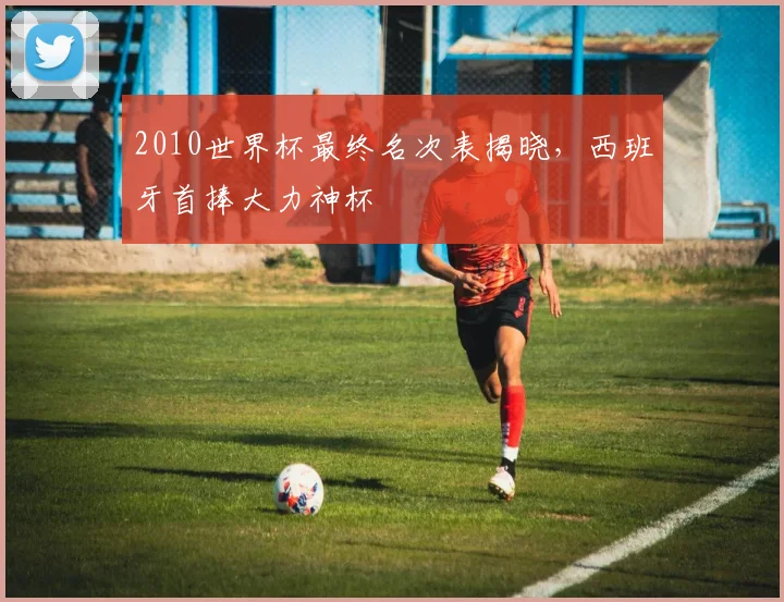2010世界杯最终名次表揭晓，西班牙首捧大力神杯