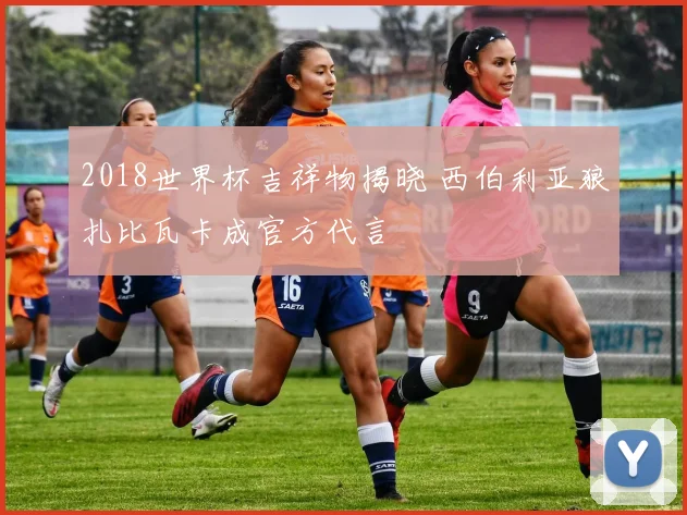 2018世界杯吉祥物揭晓 西伯利亚狼扎比瓦卡成官方代言